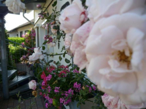  Gästehaus Rosengarten im Nahetal  Кирн